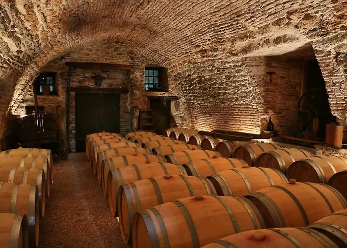 Sas Domaine Delmas