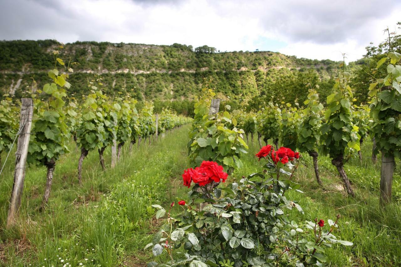 Sas Domaine Delmas Bed & Breakfast *