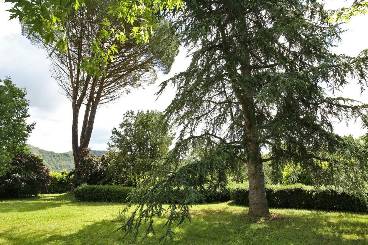 Sas Domaine Delmas